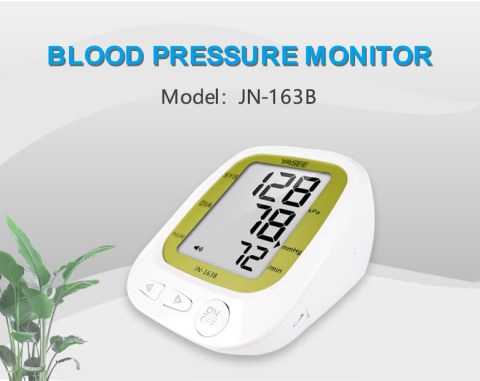 163B-Blood-Pressure-Monitor-main-1 (1)2